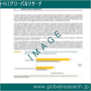 グローバルリサーチ調査レポートのイメージ